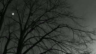 Cover art for i'm tired of everything