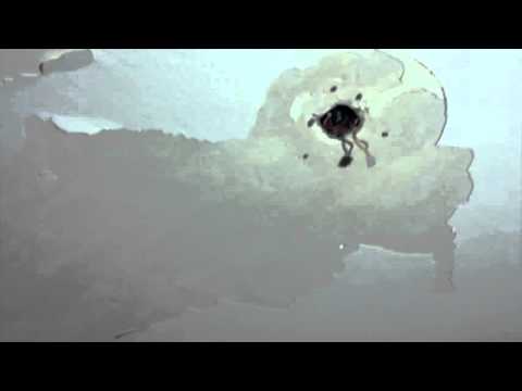 Farbe von Decke runter gekommen