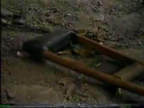 Mensajes del Informe Final de la CVR: Víctimas