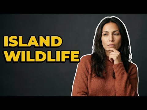 What Animals Live On San Cristóbal Island?