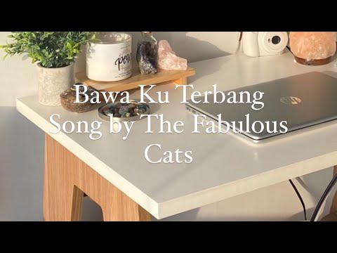 bawa ku terbang by the fabulous cats