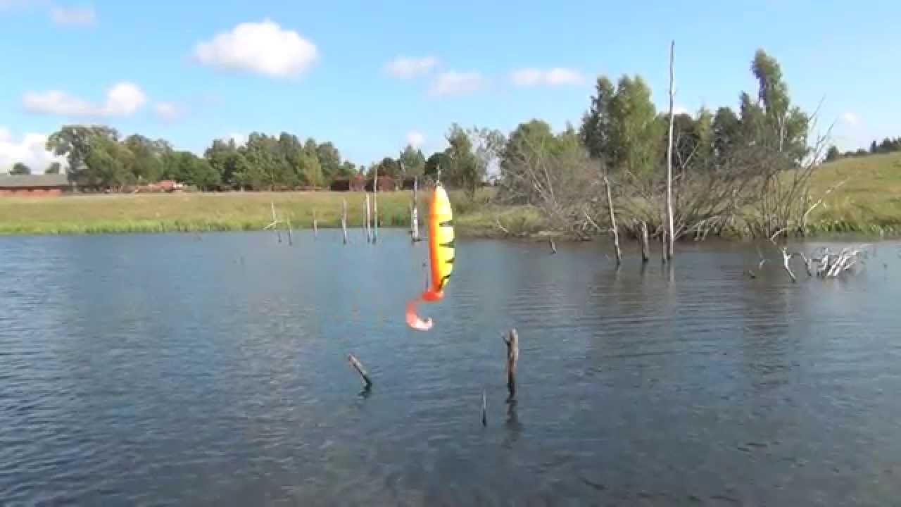 Видео Блесна Rapala Minnow Spoon RMSR 8
