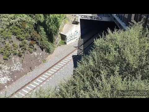 Australian Locomotives - Pacific National - Light Engine Movement