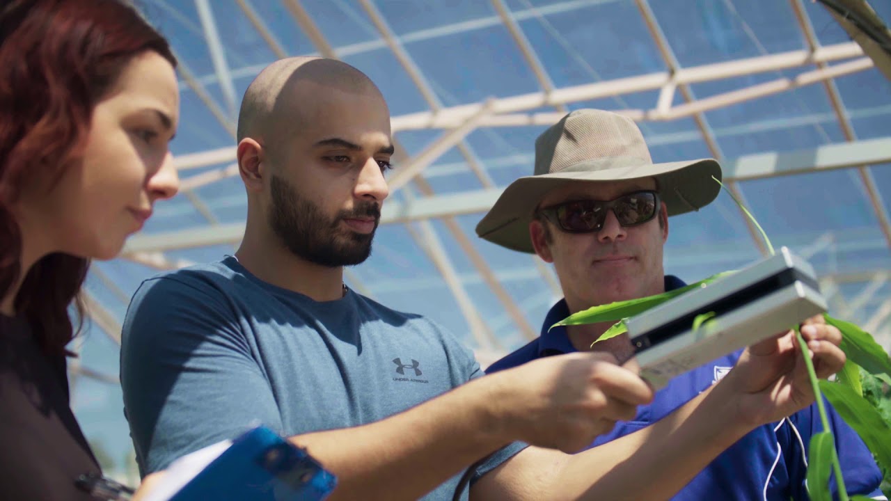 Study Agriculture and Environmental Science at UQ