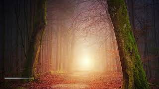 SALMO 71 e ORAÇÃO de SÃO PIO de PIETRELCINA - Interpretação de Déborah Spadotto