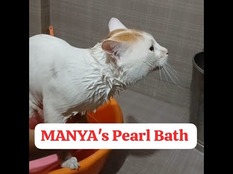 MANYA's Pearl Bath SPA