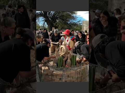 San Carlos 14  #argentina #travel #turismo #ruta40 #salta
