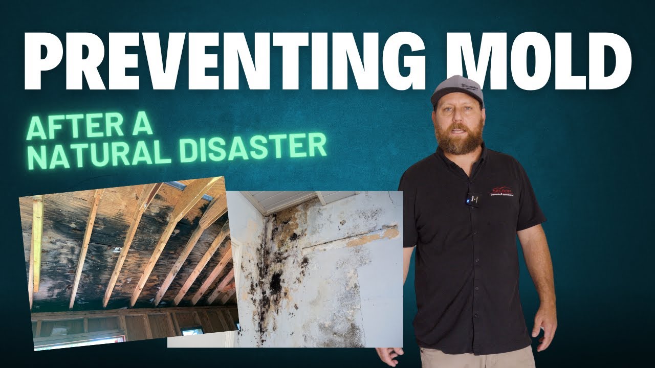 How to Prevent or Mitigate Mold after a Natural Disaster #Hurricane Cleanup Tips