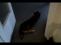 Holly Spielt Zum Ersten Mal