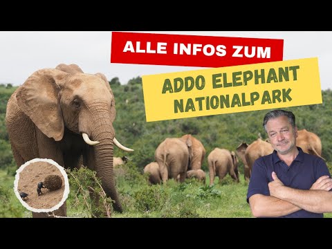 Addo Elephant Nationalpark alle Informationen zum Besuch des Parks