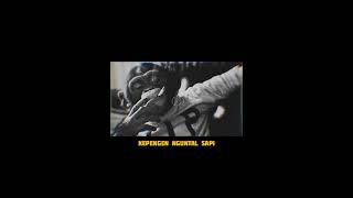 Download lagu STORY WA TERBARU LOS BENDRONG - KPC || KEPENGEN NGUNTAL SAPI🔥 mp3