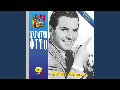 Op Op trotta cavallino