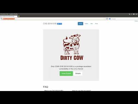How To Exploit DirtyCow (and stop it from crashing)