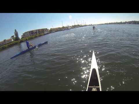 Dauphins et canoës en floride