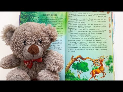 Басня для детей «Ошибка оленя» - читаем вслух. По мотивам басен Эзопа. Пересказ Е. Каргановой.