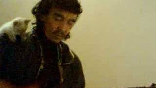 "Rainbow" (Lee Ritenour) Lorenzino1's cat's version