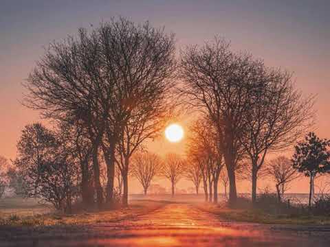 Solace - Poisonoise Music [Dub Techno/Warm 🇬🇧]