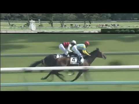 2017.10.01 2yo Newcomers (JPN) - Glory Vase