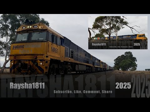 5MP2 - NR61-NR111-NR44 (Steel) Murgheboluc - Australian Trains by Raysha1811
