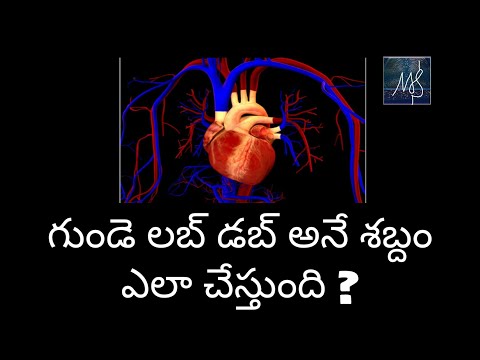 Functioning of heart explained in telugu| inside human heart