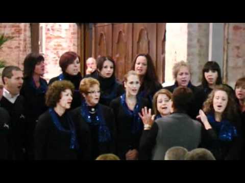 Maria lassù di Bepi de Marzi - coro MUSICALIA FRAGMENTA