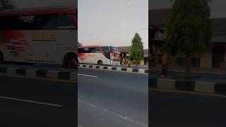 Download lagu Bus EKA CEPAT #basuri #busmania #automobile #telolet #ekamira #bismania #basurihorn #basuriv1 mp3