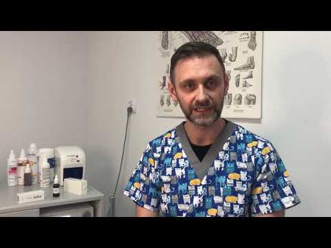 Po godzinach, Darek odpowiada na pytania o Zulan