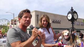 ABC7 Meteorologist Cheryl Scott, Grand Marshal of the 71st Annual La Grange Pet Parade