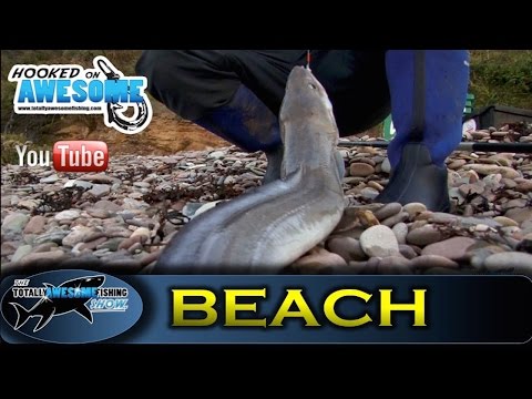 Kystfiskeri efter havål i England