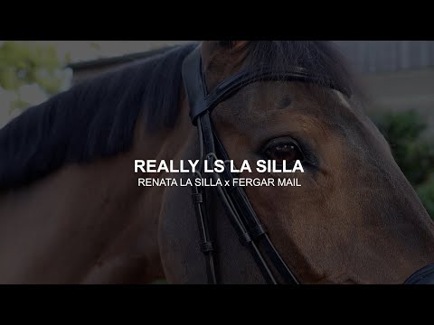 GENESIS PRESENTATION OF RELLY LS