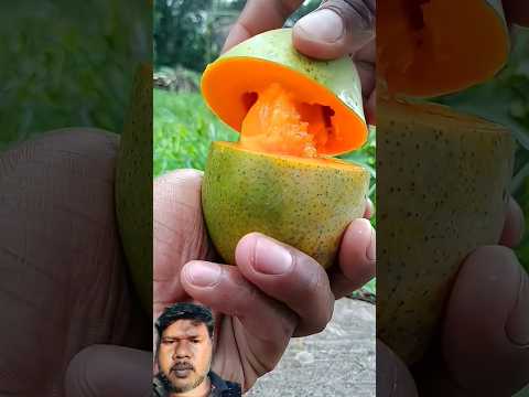 delicious mango cutting #fruit #mango #fruitcutting