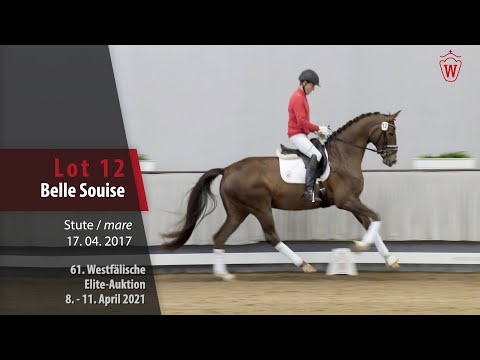 61. Elite-Auktion Trainingsvideo Lot 12 Belle Souise Stute v. Benicio - Fidermark
