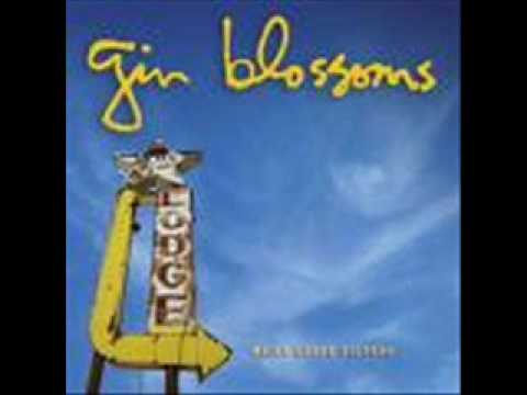 Video Someday Soon (Audio) de Gin Blossoms