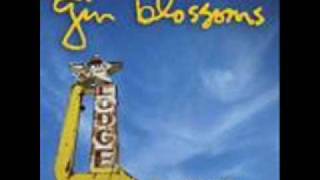 Gin Blossoms- Someday Soon