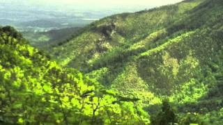 for the sake of the song