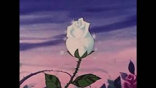 Roses &amp; Daggers (prod. by underBWE)  LYRICS IN DESC