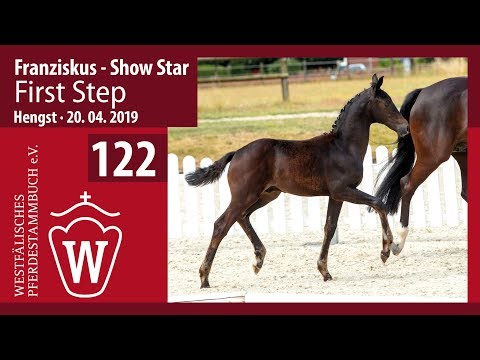 122 First Step Hengst v. Franziskus - Show Star