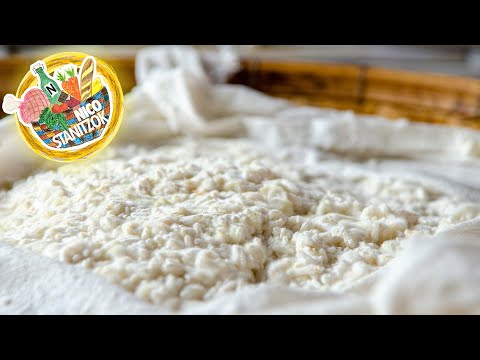 Koji Starter - Aspergillus Oryzae selber vermehren | Nico Stanitzok