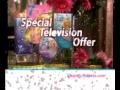 Shapely Secrets Www SeenTVCanada Com Sculpt Your Entire Body In Only 7 Minutes A Day
