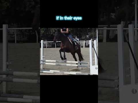 #stereotypes #blonde #horsebackrider #fypシ #equestrian