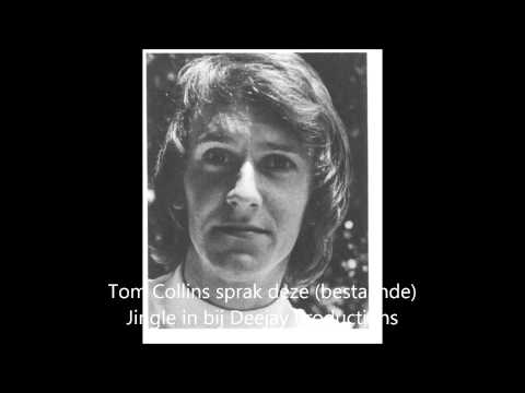 Lions Disco Jingle Tom Collins