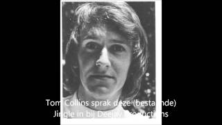 Lions Disco Jingle Tom Collins