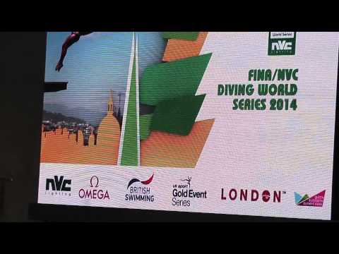 5th Round - FINA World Diving 10m Platform Final - London 27 April 2014 - Tom Daley