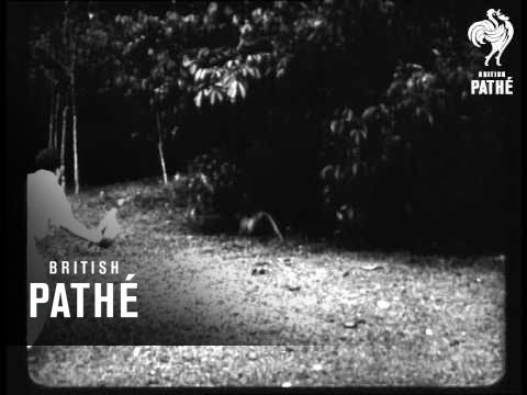 Rangoon - Burma (1920-1929)