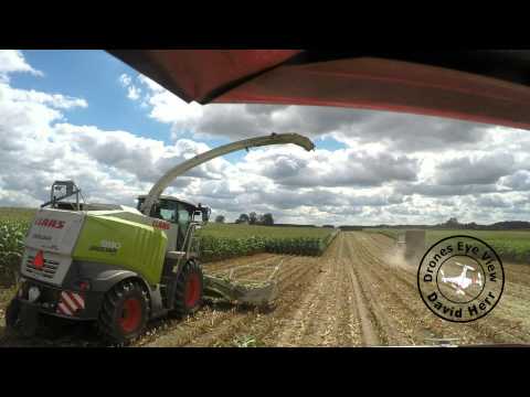 silage chopping gopro