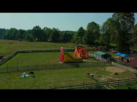 Zagroda Alpaki Pod Lipami ( Urodziny w zagrodzie )