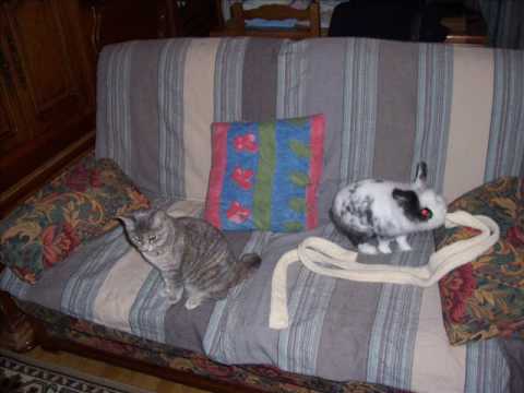 video de EMY, MOMO, FATI et KALI