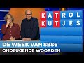 Sandra spelt STOUTE woorden in Lingo | De Week van SBS6