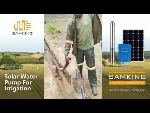Solar submersible water pumps for agricultural irrigation in Africa | SAMKING Customer Case