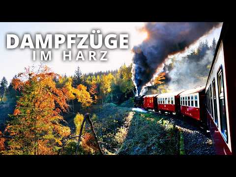 mit der Brockenbahn im Herbst durch den Harz